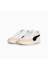 Puma Buty Ascenso 40330701. Kolor: szary