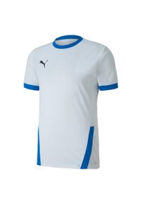 Koszulka męska Puma teamGOAL 23 Jersey. Kolor: biały, wielokolorowy, niebieski. Materiał: jersey. Sport: fitness
