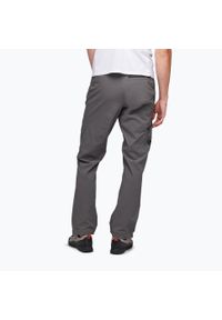 Spodnie softshell męskie Black Diamond Alpine. Kolor: szary. Materiał: softshell. Sezon: lato. Sport: turystyka piesza #2