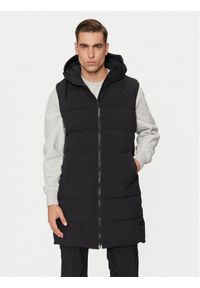Halti Bezrękawnik Penger 065-0469 Czarny Relaxed Fit. Kolor: czarny. Materiał: syntetyk. Długość rękawa: bez rękawów