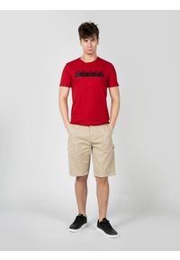 Guess T-Shirt "Lumy" | X2RI07KAK91 | Mężczyzna | Czerwony. Okazja: na co dzień. Kolor: czerwony. Materiał: bawełna. Wzór: nadruk. Styl: klasyczny, casual, elegancki