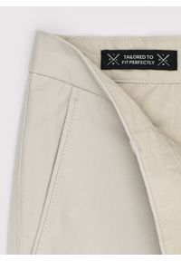 Pako Lorente - PAKO LORENTE - Beżowe spodnie z zaszewkami. Okazja: na co dzień. Kolor: beżowy. Materiał: elastan, bawełna. Wzór: gładki. Styl: casual #4