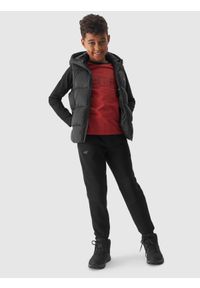 4F JUNIOR - Bezrękawnik puchowy z wypełnieniem syntetycznym chłopięcy. Kolor: czarny. Materiał: syntetyk, puch. Długość rękawa: bez rękawów #2