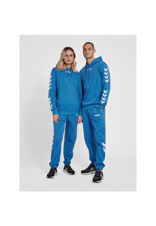 Bluza z kapturem Hummel Legacy. Typ kołnierza: kaptur. Kolor: niebieski. Materiał: bawełna, materiał. Wzór: nadruk. Sport: fitness