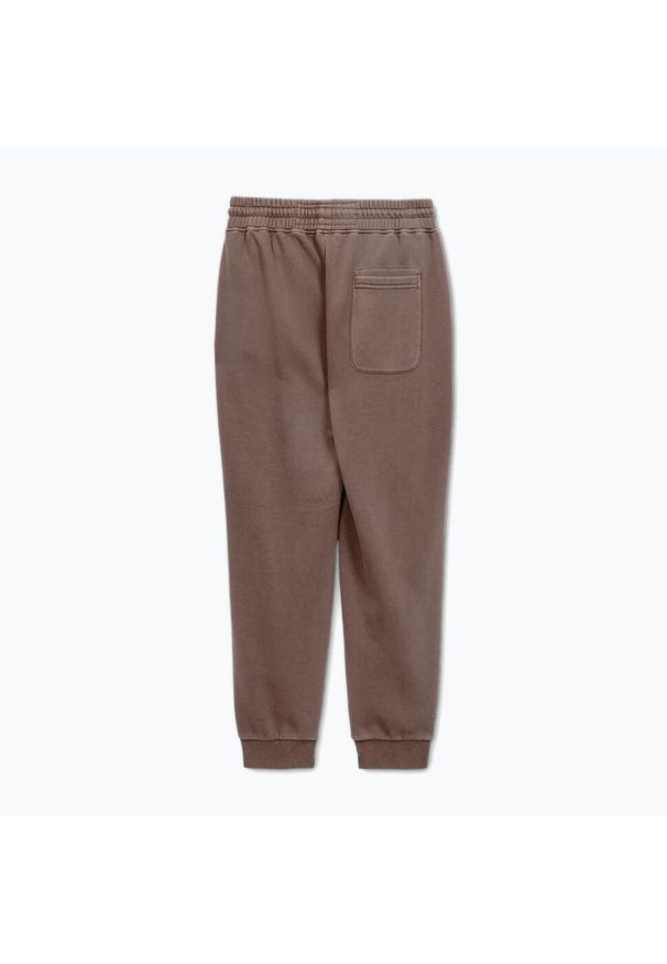 PITBULL - Spodnie męskie Pitbull Lancaster 2 Track Pants. Kolor: brązowy