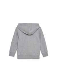 Bluza z Kapturem Dziecięca LEGO NINJAGO Scout 302 Szara. Typ kołnierza: kaptur. Kolor: szary #2