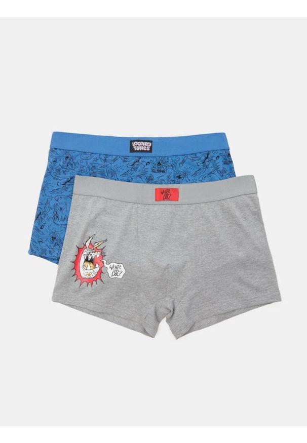 Sinsay - Bokserki ze wzorem 2 pack - wielobarwny