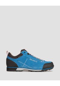 Buty trekkingowe męskie Dolomite Cinquantaquattro Hike Low EVO GTX. Kolor: niebieski