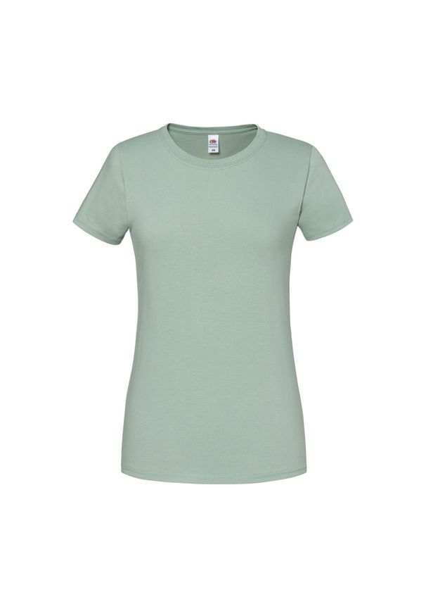 FRUIT OF THE LOOM - Koszulka Damska Iconic 195 Premium Ringspun Cotton T-shirt. Kolor: szary. Sport: turystyka piesza