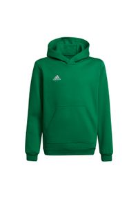 Adidas - Bluza piłkarska dla dzieci adidas Entrada 22 Hoody. Kolor: biały, zielony, wielokolorowy. Sport: piłka nożna