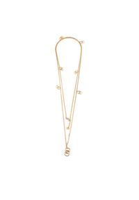 Elisabetta Franchi Naszyjnik CO-01M-42E2-V250 Złoty. Materiał: metalowe. Kolor: złoty