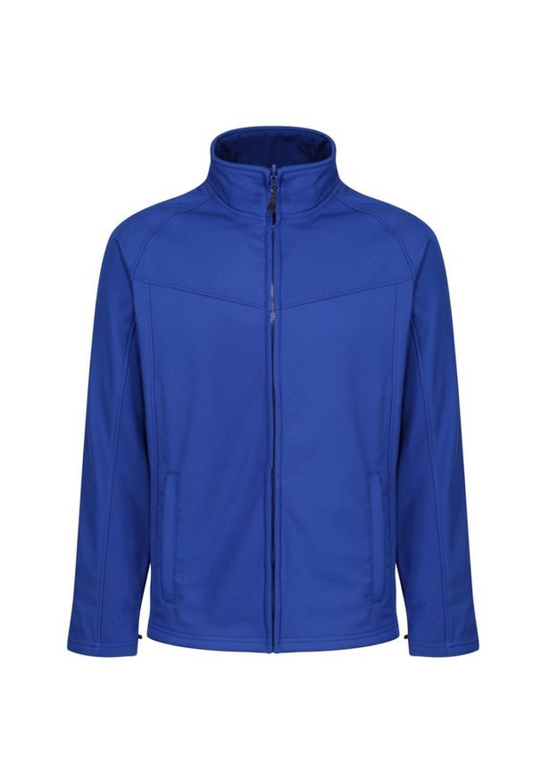 Regatta - Męski Softshell Uproar. Kolor: szary, niebieski, wielokolorowy. Materiał: softshell. Sport: turystyka piesza