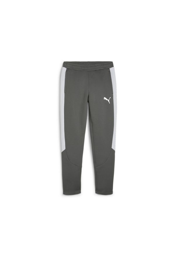 Puma - Męskie spodnie dresowe EVOSTRIPE PUMA Mineral Gray. Kolor: szary. Materiał: dresówka. Sport: fitness