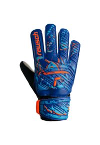 Rękawice bramkarskie dla dorosłych Reusch Attrakt Starter Solid. Kolor: niebieski #1