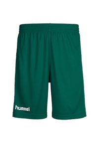 Spodenki sportowe dziecięce Hummel Core Kids Poly Shorts. Kolor: zielony. Styl: sportowy #1