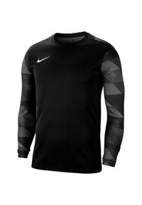 Bluza bramkarska męska Nike Dry Park IV JSY LS GK. Kolor: czarny