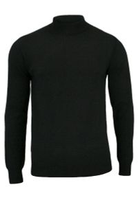 Półgolf Klasyczny, Męski Czarny - Brave Soul. Kolor: czarny. Materiał: bawełna. Sezon: zima, jesień. Styl: klasyczny #3