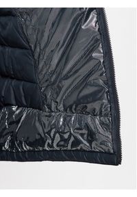 columbia - Columbia Kurtka puchowa Autumn Park™ Down Jacket Niebieski Regular Fit. Kolor: niebieski. Materiał: syntetyk