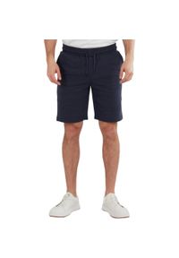 FUNDANGO - Spodenki fitness męskie Fundango Delon Sweatshort. Kolor: niebieski. Materiał: poliester, bawełna. Wzór: haft. Sport: fitness
