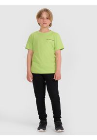 4f - 4F T-shirt regular z nadrukiem chłopięcy - zielony 140 (9-10 lat). Okazja: na co dzień. Kolor: zielony. Materiał: bawełna, jersey, dzianina. Długość rękawa: krótki rękaw. Długość: krótkie. Wzór: nadruk. Sezon: lato. Styl: klasyczny, sportowy, casual
