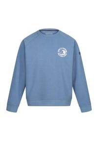 Regatta - Bluza Męska Z Motywem Fali Dekolt W Szpic Nithsdale. Kolor: fioletowy. Styl: sportowy. Sport: turystyka piesza