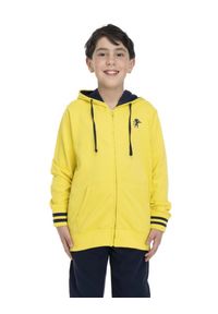 LEONE 1947 APPAREL - Witamy dziecięcy dres z kapturem. Okazja: na uczelnię. Kolor: niebieski, wielokolorowy, żółty. Materiał: dresówka. Styl: sportowy