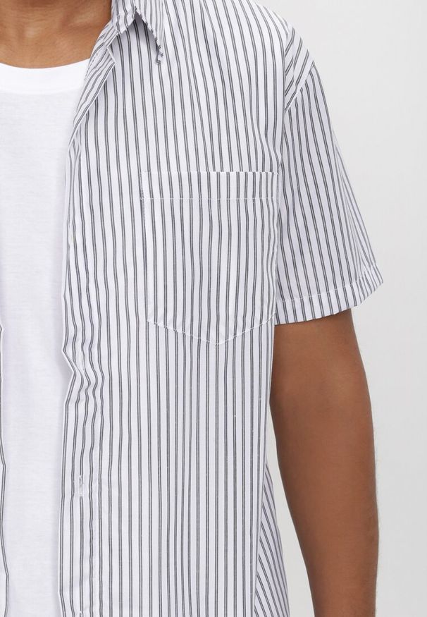 Born2be - Biało-Szara Koszula Othriphi. Okazja: na co dzień. Kolekcja: plus size. Kolor: biały. Materiał: jeans, tkanina. Długość rękawa: krótki rękaw. Długość: krótkie. Wzór: gładki, paski. Styl: casual, klasyczny