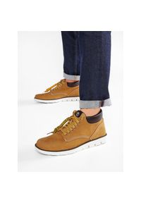 Trzewiki Timberland. Kolor: brązowy #1