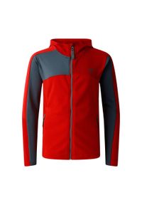 DARE 2B - Kurtka Dziecięca Thriving IV Fleece Jacket. Kolor: czerwony. Sezon: zima. Sport: narciarstwo
