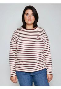 Big-Star - Bluzka damska w paski beżowo-bordowe Alerra 604. Okazja: na co dzień. Kolor: czerwony. Materiał: jeans, dzianina. Wzór: paski. Styl: casual, klasyczny #4