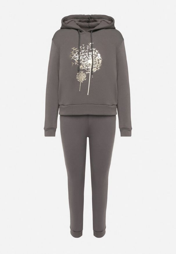 Born2be - Szary Bawełniany Komplet Dresowy Ocieplany Bluza i Spodnie Sevizelle. Kolor: szary. Materiał: dresówka, bawełna. Wzór: aplikacja, nadruk
