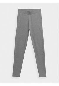 4f - 4F Legginsy 4FAW23TTIGF108 Szary Regular Fit. Kolor: szary. Materiał: bawełna #5