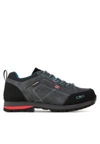 CMP Trekkingi Alcor 2.0 Wmn Trekking Shoes 3Q18566 Brązowy. Kolor: szary. Materiał: zamsz, skóra