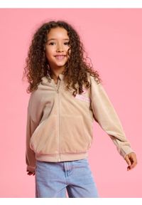 Sinsay - Bluza hoodie z haftem Pusheen - brązowy. Kolor: brązowy. Wzór: haft