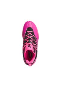 Buty sportowe męskie Adidas Dame Certified 3 Shoes JI1545. Kolor: różowy
