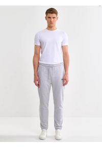Big-Star - Spodnie męskie dresowe szare Brutus 901. Kolekcja: plus size. Kolor: szary. Materiał: dresówka. Wzór: nadruk, aplikacja #5