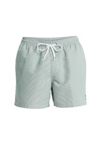 Quiksilver - Szorty kąpielowe dla Mężczyzn EVERYDAY DELUXE 15" Zielony. Kolor: zielony. Materiał: tkanina, poliester. Styl: sportowy #1