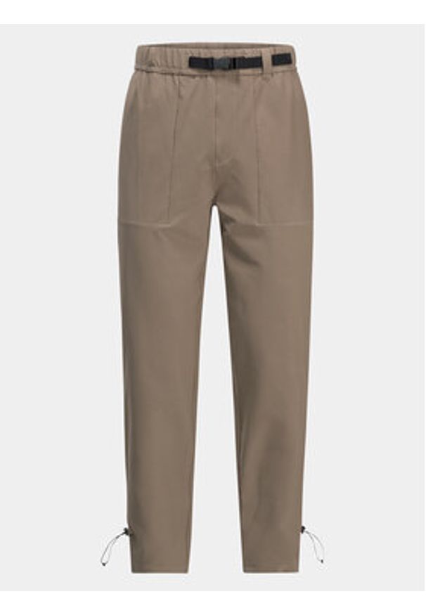 Jack Wolfskin Spodnie outdoor Kiebitzweg Pants 1508471 Brązowy Regular Fit. Kolor: brązowy. Materiał: syntetyk. Sport: outdoor