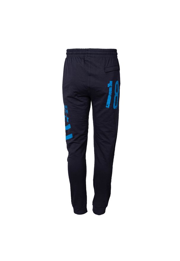 Bikkembergs Spodnie | C 1 048 85 E 1978 | Mężczyzna | Granatowy. Okazja: na co dzień. Kolor: niebieski. Materiał: bawełna, elastan. Wzór: nadruk. Styl: casual