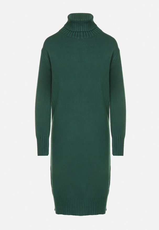 Born2be - Zielona Dzianinowa Sukienka z Bawełną o Prostym Kroju z Golfem Tesala. Okazja: na spotkanie biznesowe, do pracy. Typ kołnierza: golf. Kolor: zielony. Materiał: bawełna, dzianina. Wzór: jednolity. Typ sukienki: proste. Styl: biznesowy, klasyczny