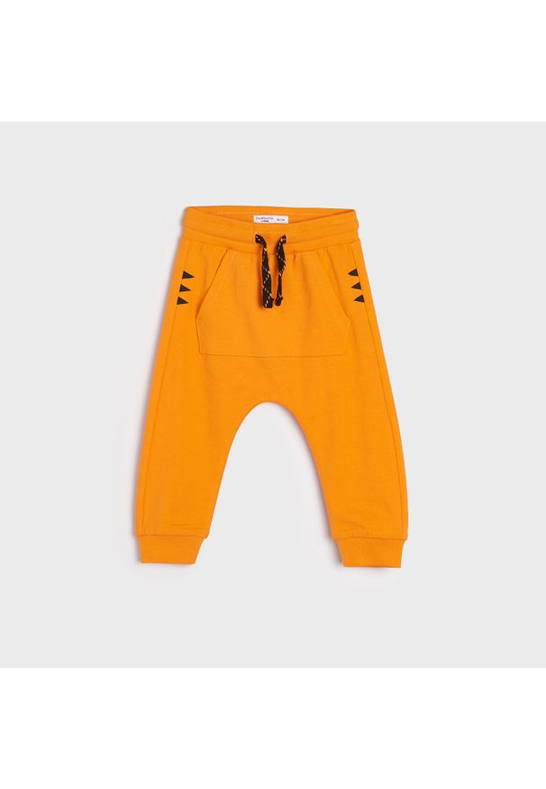 Sinsay - Spodnie dresowe - Pomarańczowy. Kolor: pomarańczowy. Materiał: dresówka