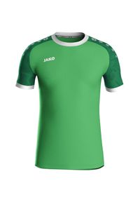 Jersey Jako Iconic. Kolor: zielony. Materiał: jersey. Sport: piłka nożna, fitness #1