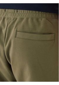 Aeronautica Militare Spodnie dresowe 261PF1008UF00674 Zielony Regular Fit. Kolor: zielony. Materiał: bawełna #2