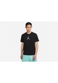 Koszulka sportowa męska Nike Air Jordan Brand 23. Kolor: czarny. Materiał: bawełna. Długość rękawa: krótki rękaw. Długość: krótkie. Sport: fitness