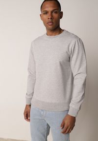 Born2be - Szara Bluza o Klasycznym Kroju z Bawełną Merinne. Okazja: na co dzień. Kolor: szary. Materiał: bawełna. Styl: klasyczny #1
