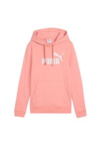 Puma - Damska Bluza Z Kapturem ESS No.1 Logo. Typ kołnierza: kaptur. Kolor: pomarańczowy, wielokolorowy, żółty