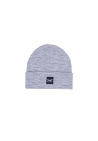 Czapka zimowa Colourwear Puppet. Kolor: szary. Sezon: zima. Styl: sportowy #1