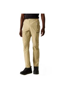 Regatta - Męskie spodnie trekkingowe Highton. Kolor: beżowy. Sezon: lato. Sport: turystyka piesza #1