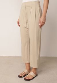 Born2be - Beżowe Spodnie z Eleganckimi Zakładkami i Nogawkami o Długości 3/4 Dorasea. Okazja: do pracy, na co dzień. Kolekcja: plus size. Kolor: beżowy. Styl: elegancki #7