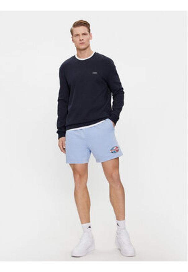 Tommy Jeans Szorty sportowe Tjm Arch Graphic Beach Short Ext DM0DM19167 Niebieski Regular Fit. Kolor: niebieski. Materiał: bawełna. Styl: sportowy